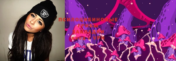 гидра Алзамай