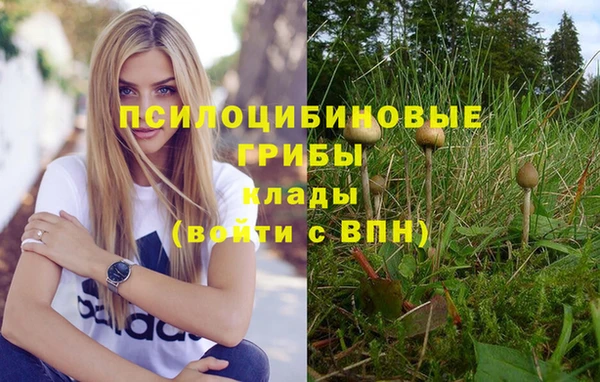 гидра Алзамай
