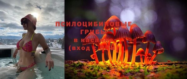 кокс Алексеевка