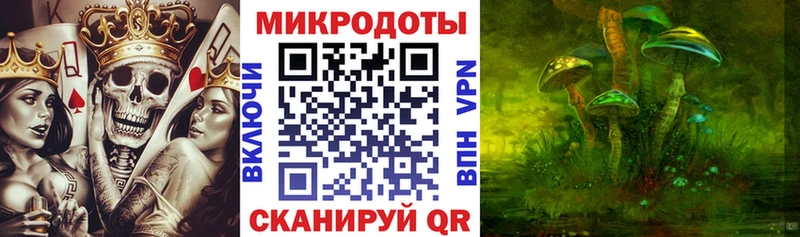 KRAKEN вход  Стародуб  Псилоцибиновые грибы Cubensis 